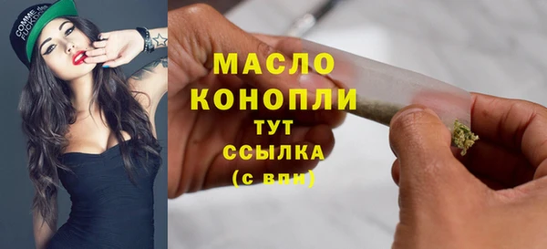 гидра Богородск