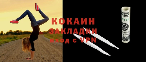 мяу мяу мука Белокуриха