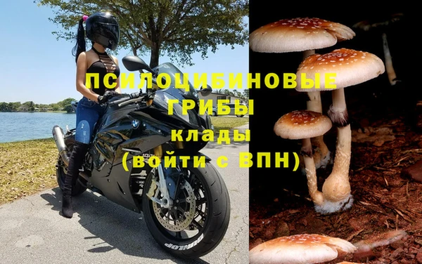 прущая мука Белоозёрский