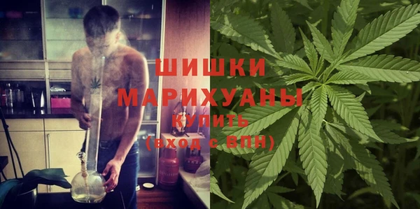 мяу мяу мука Белокуриха