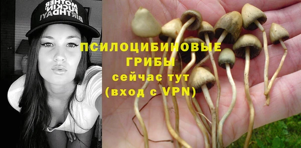 ALPHA-PVP Богданович