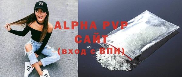 гидра Богородск